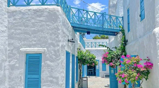 ソンチャマリーナカフェ